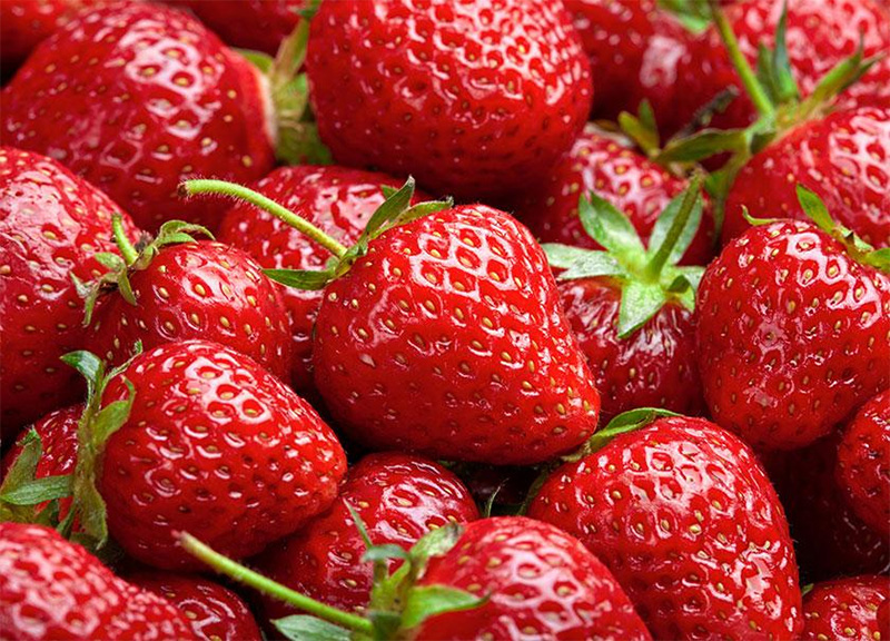 Berry Academy: Find Sweet Success Merchandising Berries